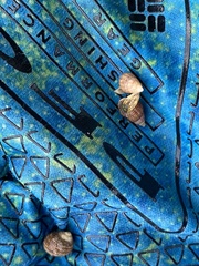 Ilyanassa trivittata