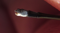 Pseudagrion rufostigma