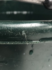 Bythotrephes longimanus