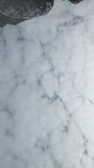 Pterostylis cycnocephala