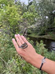 Thamnophis elegans vagrans