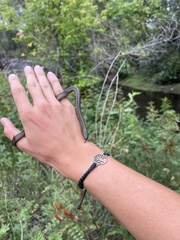 Thamnophis elegans vagrans