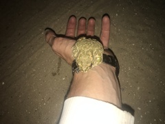 Bufotes viridis viridis