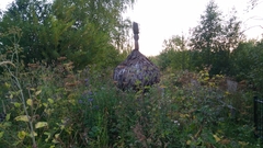 Anthriscus sylvestris