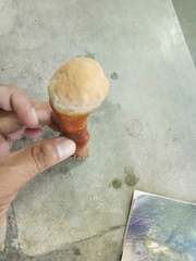 Ganoderma