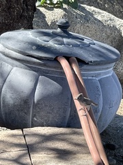 Baeolophus inornatus