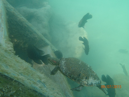 Cuatro Cienegas Slider