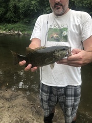 Micropterus dolomieu