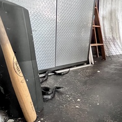 Pantherophis alleghaniensis