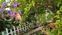 Aguna asander asander