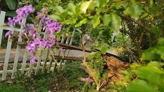 Aguna asander asander