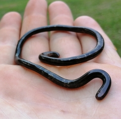 Typhlopidae