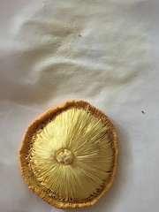 Amanita jacksonii