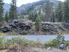 Myriopteris gracillima