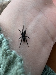 Zelotes