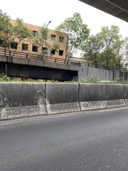 Dichromanthus cinnabarinus