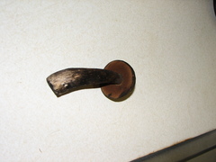 Tylopilus pseudoscaber