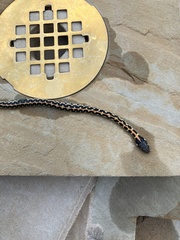 Thamnophis cyrtopsis