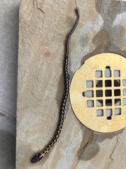 Thamnophis cyrtopsis