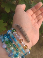 Gastropacha quercifolia