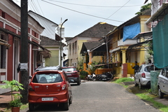 Arecaceae