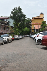 Artocarpus heterophyllus