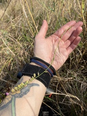 Polygala hottentotta