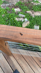 Calopteron