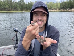 Thamnophis elegans vagrans