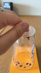 Trachelas tranquillus