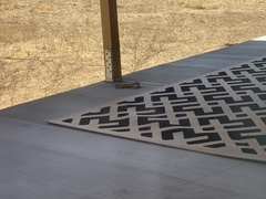 Ammospermophilus leucurus