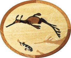 Phyllopteryx taeniolatus