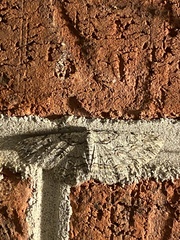 Iridopsis defectaria