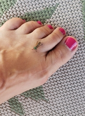 Tabanus nigrovittatus