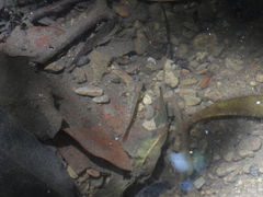 Rhinogobius rubromaculatus