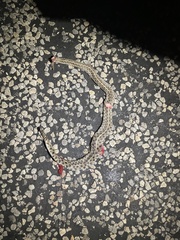 Thamnophis marcianus