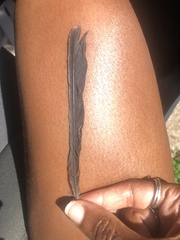 Dumetella carolinensis