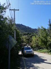 Bubo virginianus magellanicus
