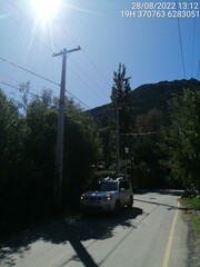 Bubo virginianus magellanicus