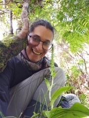 Platanthera micrantha