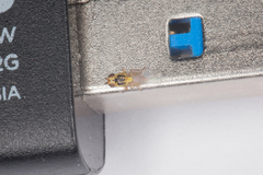 Thaumatomyia