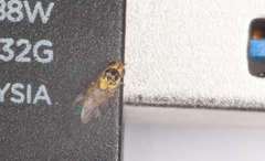 Thaumatomyia