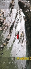 Ichneumonoidea