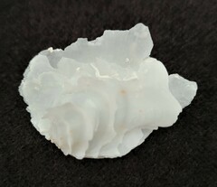 Amphichama inezae