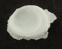 Amphichama inezae
