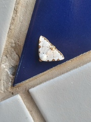 Eulepidotis testaceiceps