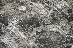 Bradinopyga geminata