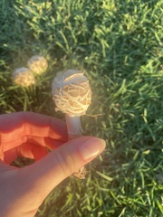 Chlorophyllum molybdites