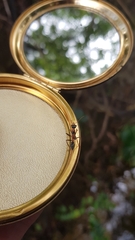 Myrmecia nigrocincta