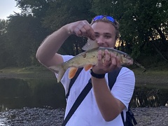 Moxostoma erythrurum